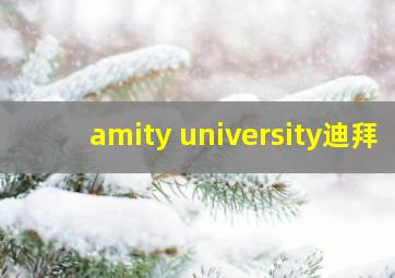 amity university迪拜